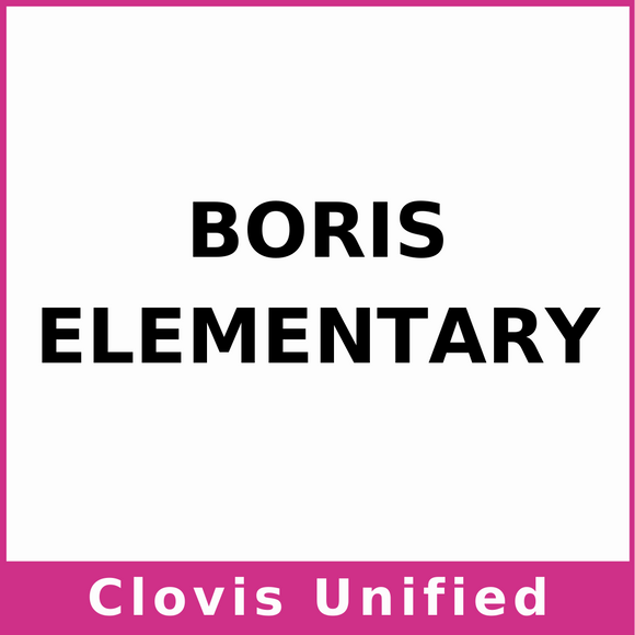 Boris Elementary