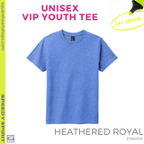 VIP Vintage Tee - Heathered Royal