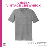 Vintage Tee - Grey Frost (Ewing Eagle Face #143808)