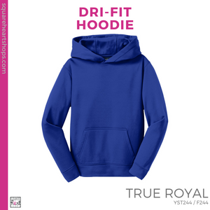 Dri-Fit Hoodie - Royal Blue (Mountain View Stripes #143387)