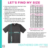 Heathered Dri-Fit Tee - Vintage Heather (Mountain View Stripes #143387)